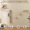 Accessoires Muraux 4 en 1 pour Chat Etagères Murales pour Chat avec Arbre à Chat à 3 Niveaux Hamac Griffoir et Tapis Naturel