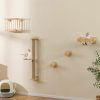 Accessoires Muraux 4 en 1 pour Chat Etagères Murales pour Chat avec Arbre à Chat à 3 Niveaux Hamac Griffoir et Tapis Naturel