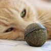 balle-d-herbe-a-chat-2.jpeg BOULY - Balle de cataire : herbe aux chats euphorisante