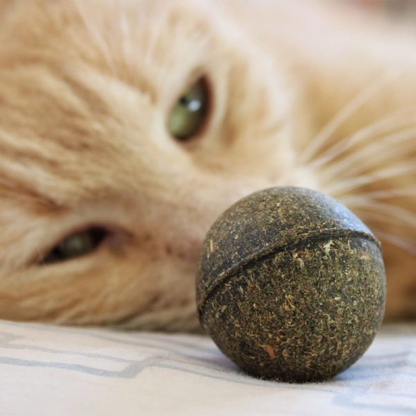 balle-d-herbe-a-chat-2.jpeg BOULY - Balle de cataire : herbe aux chats euphorisante