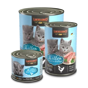 LEONARDO® Kitten