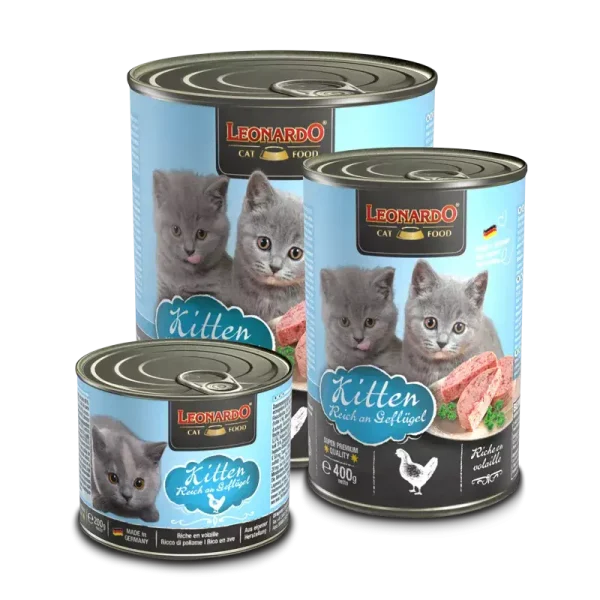 LEONARDO® Kitten
