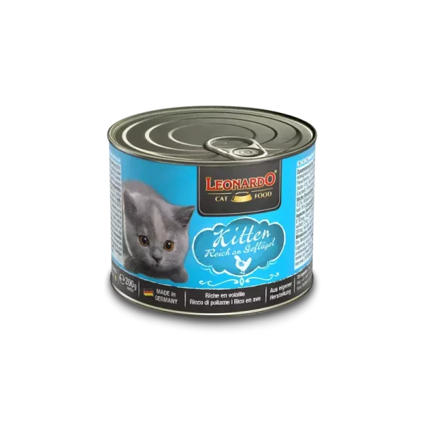 LEONARDO® Kitten
