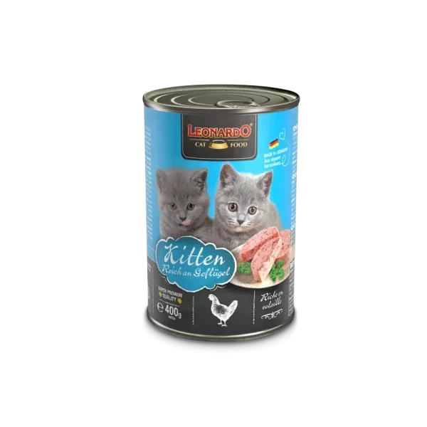 LEONARDO® Kitten