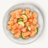 dawkdcumllndhd1xzdde.png Terra Felis Famousse Saumon - 80g