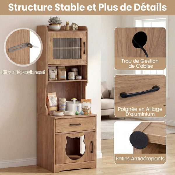 Le Manoir des Moustaches – Meuble multifonction lumineux pour chat