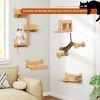 Ensemble de 6 Meubles Muraux pour Chat Étagères avec Hamac Pont Arbre à Chat à 2 Niveaux Plates-Formes Marches Poteaux à Griffer Naturel