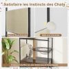 meuble-pour-chat-87051964-6.jpeg Le Domaine des Moustaches
