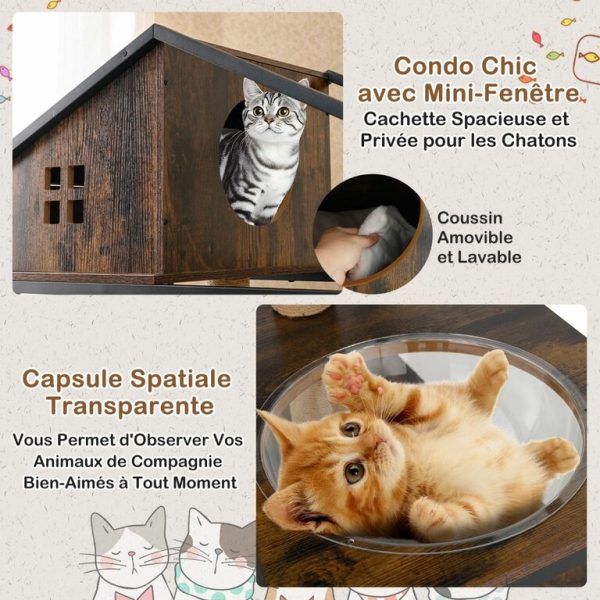 meuble-pour-chat-87051964-7.jpeg Le Domaine des Moustaches