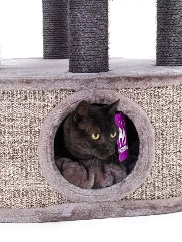 mts0y7rjf3ldc056ipaj.jpeg Petrebels - CATHARINA 160