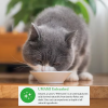 ov73gxxwgdwwmr7vp0ve.png Inaba Chat - Dashi Delights POULET/THON - 70 g
