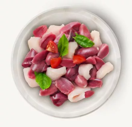 p9cgmjhcizwcvsyaetx5.png Terra Felis Famousse Poulet - 80g