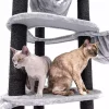 tknqoj3pu9vemnhhwtq0.png Petrebels - CATHARINA 160