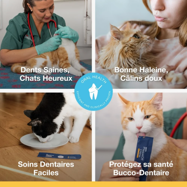 xl-1214c56ff4ce4aaf9573aa5dff913df997a1772009442.png ProDen PlaqueOff Crème chat x6