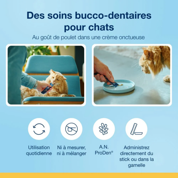 xl-66584117275be999ff55a987b9381e01f961772009438.png ProDen PlaqueOff Crème chat x6