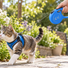 Laisse rétractable Flexi Cat pour chat